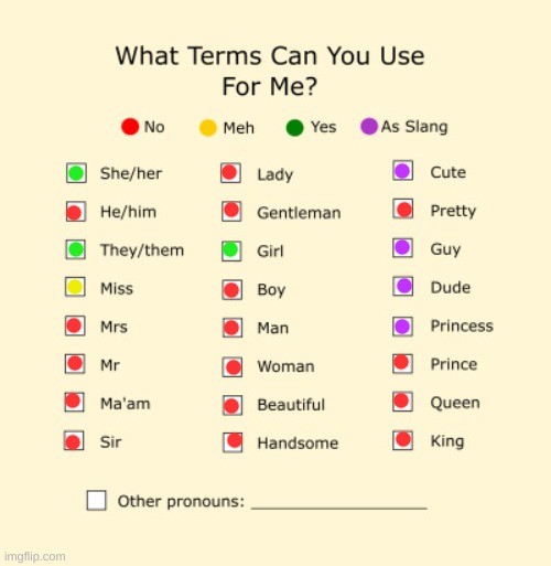 why the heck not- (doing this again because it needed an update) | image tagged in pronouns sheet | made w/ Imgflip meme maker