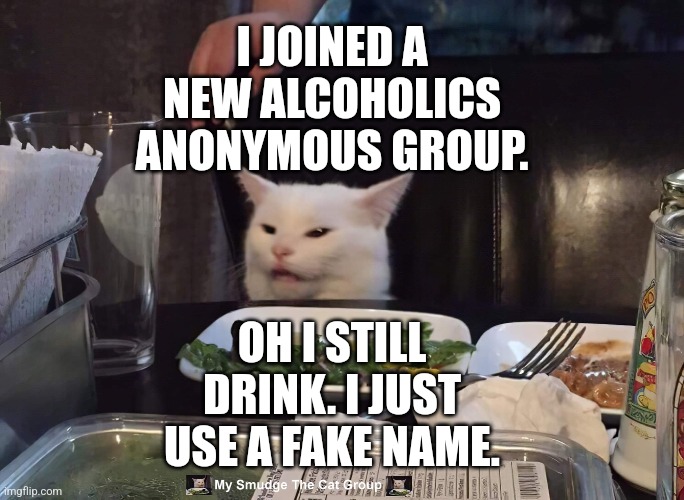  I JOINED A NEW ALCOHOLICS ANONYMOUS GROUP. OH I STILL DRINK. I JUST USE A FAKE NAME. | image tagged in smudge the cat | made w/ Imgflip meme maker