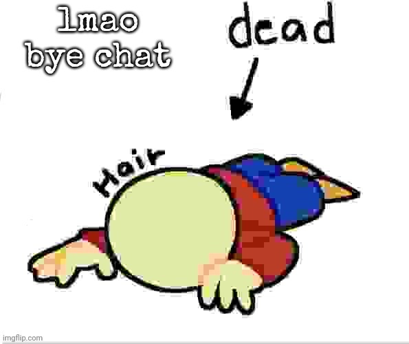 he is dead | lmao bye chat | image tagged in he is dead | made w/ Imgflip meme maker