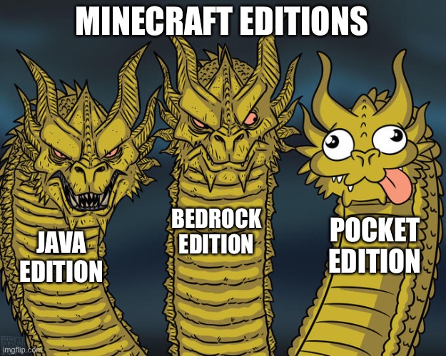 Minecraft editions | MINECRAFT EDITIONS; BEDROCK EDITION; POCKET EDITION; JAVA EDITION | image tagged in e | made w/ Imgflip meme maker