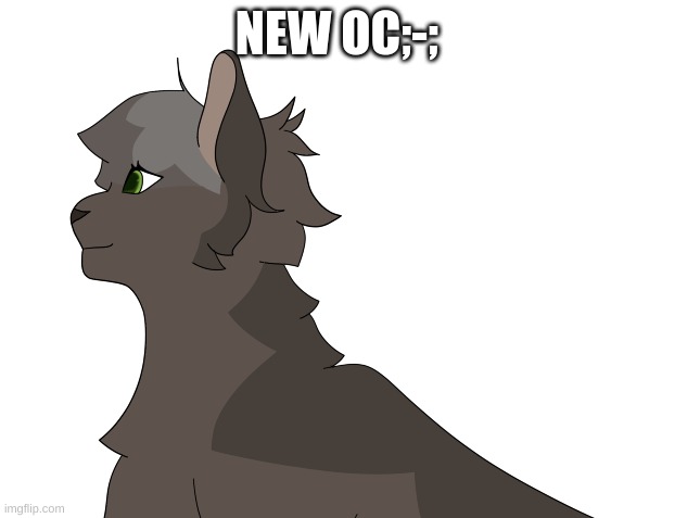 NEW OC;-; | image tagged in cats,warrior cats,original character,yay kitty | made w/ Imgflip meme maker