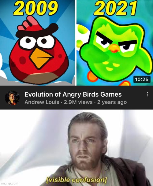 no. this is wrong. stop this immediately | image tagged in angry birds,duolingo,obi-wan visible confusion,visible confusion,memes,funny | made w/ Imgflip meme maker