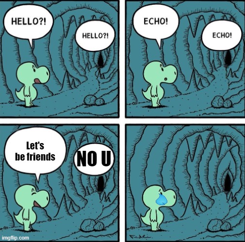 Me at schools trying to make fwiends | Let's be friends; NO U | image tagged in echo | made w/ Imgflip meme maker