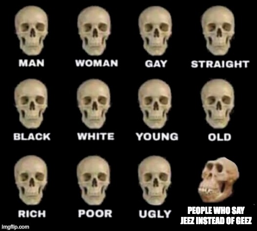 LOL | PEOPLE WHO SAY JEEZ INSTEAD OF GEEZ | image tagged in idiot skull,wow,sus | made w/ Imgflip meme maker
