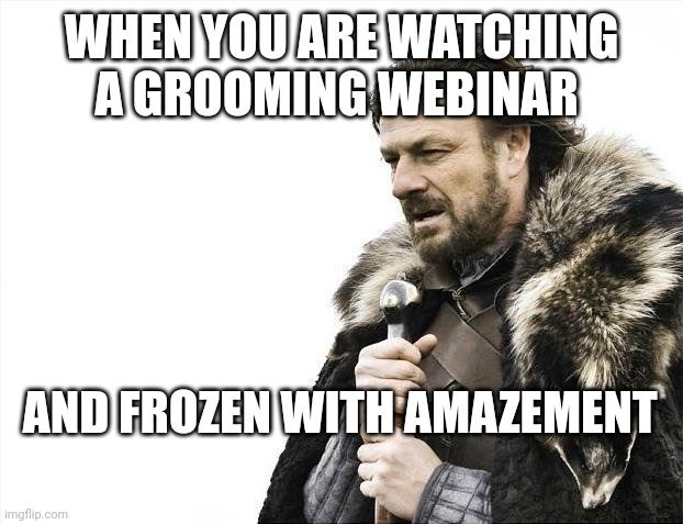 Wizards they are | WHEN YOU ARE WATCHING A GROOMING WEBINAR; AND FROZEN WITH AMAZEMENT | image tagged in memes,brace yourselves x is coming | made w/ Imgflip meme maker