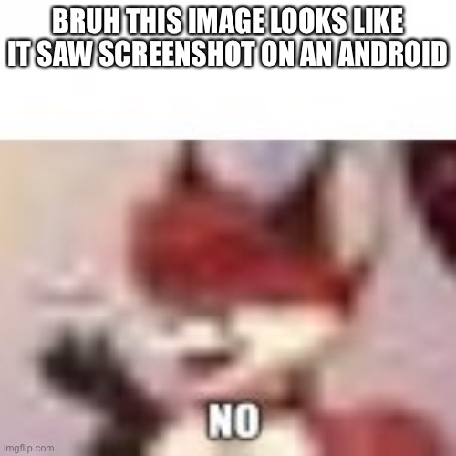 furry no 2 | BRUH THIS IMAGE LOOKS LIKE IT SAW SCREENSHOT ON AN ANDROID | image tagged in furry no 2 | made w/ Imgflip meme maker