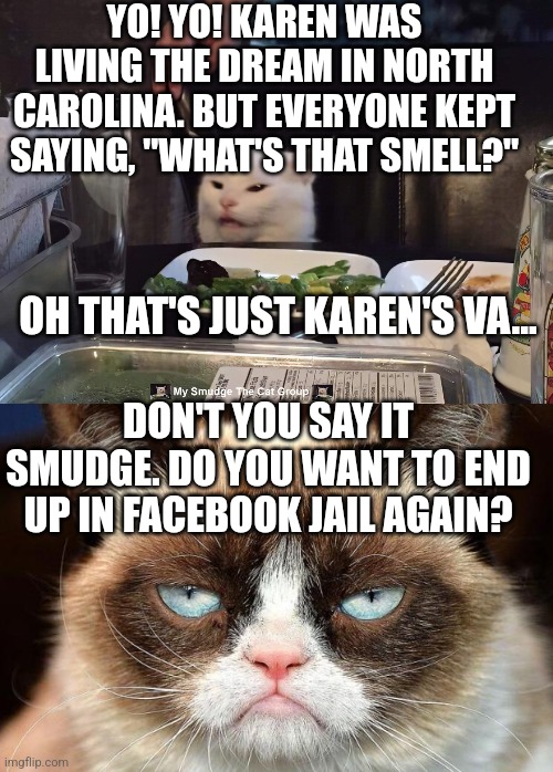 YO! YO! KAREN WAS LIVING THE DREAM IN NORTH CAROLINA. BUT EVERYONE KEPT SAYING, "WHAT'S THAT SMELL?"; OH THAT'S JUST KAREN'S VA... DON'T YOU SAY IT SMUDGE. DO YOU WANT TO END UP IN FACEBOOK JAIL AGAIN? | image tagged in memes,grumpy cat not amused,smudge the cat | made w/ Imgflip meme maker