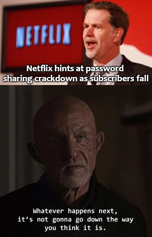 Netflix hints at password 
sharing crackdown as subscribers fall | image tagged in the flix | made w/ Imgflip meme maker