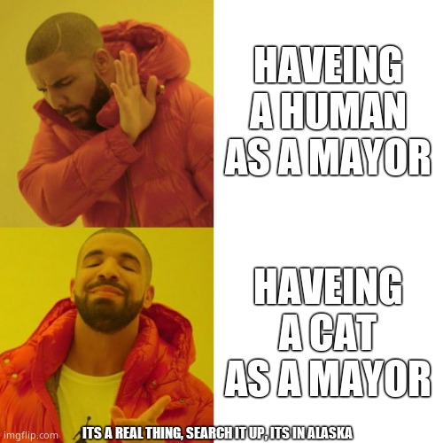 Humans are learning, just with cats | HAVEING A HUMAN AS A MAYOR; HAVEING A CAT AS A MAYOR; ITS A REAL THING, SEARCH IT UP, ITS IN ALASKA | image tagged in drake blank | made w/ Imgflip meme maker