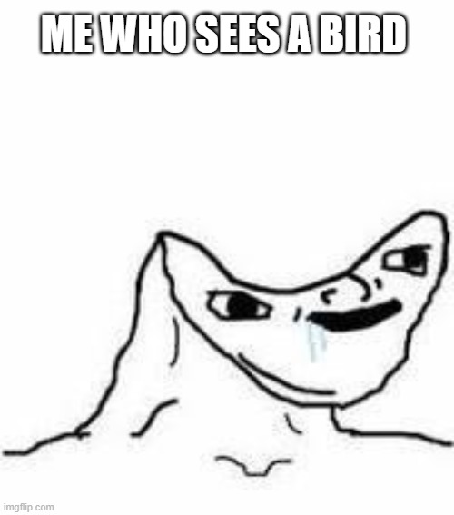 No brain | ME WHO SEES A BIRD | image tagged in no brain | made w/ Imgflip meme maker