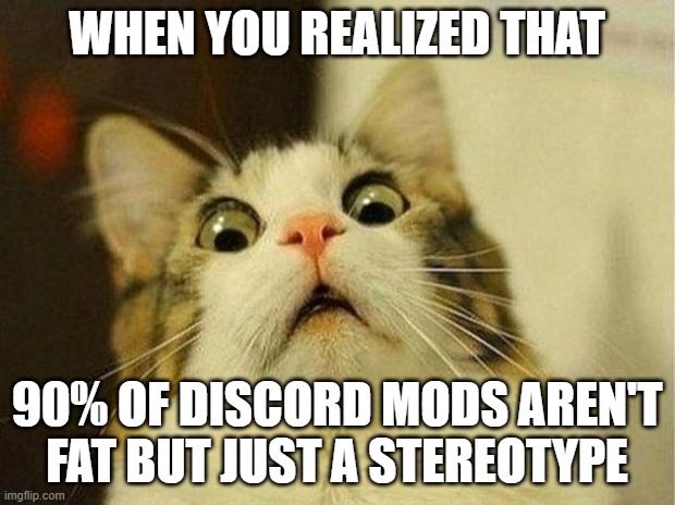 Probably true | WHEN YOU REALIZED THAT; 90% OF DISCORD MODS AREN'T FAT BUT JUST A STEREOTYPE | image tagged in scared cat,memes | made w/ Imgflip meme maker