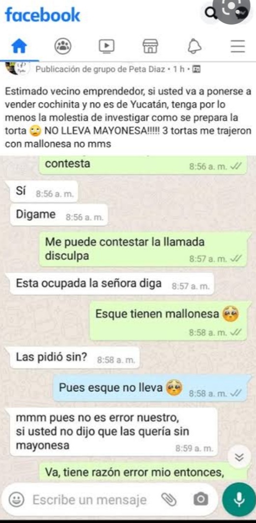 Torta de cochinita con mayonesa Blank Meme Template