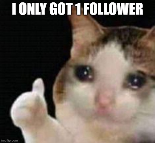 Approved crying cat | I ONLY GOT 1 FOLLOWER | image tagged in approved crying cat,bcs i got 1 follower | made w/ Imgflip meme maker