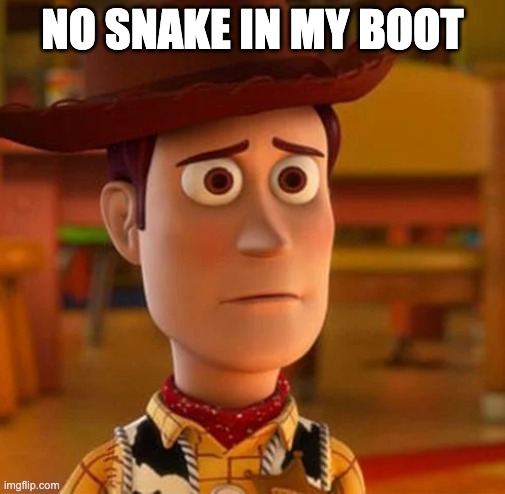 No Snake In My boot | NO SNAKE IN MY BOOT | image tagged in toy story | made w/ Imgflip meme maker