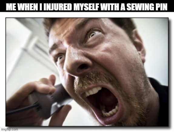 Relatable? | ME WHEN I INJURED MYSELF WITH A SEWING PIN | image tagged in memes,shouter | made w/ Imgflip meme maker