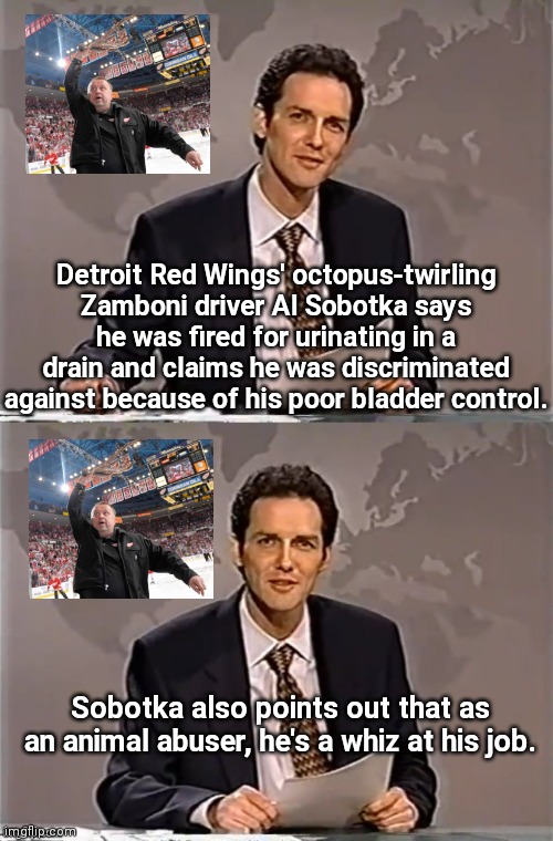 Cruel Zamboni driver pisses away his job | Detroit Red Wings' octopus-twirling Zamboni driver Al Sobotka says he was fired for urinating in a drain and claims he was discriminated against because of his poor bladder control. Sobotka also points out that as an animal abuser, he's a whiz at his job. | image tagged in weekend update with norm,al sobotka,detroit red wings,weird,news,animal cruelty | made w/ Imgflip meme maker