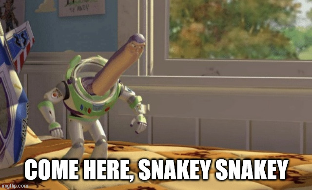 Hmm yes | COME HERE, SNAKEY SNAKEY | image tagged in hmm yes | made w/ Imgflip meme maker