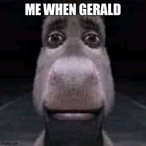 Donkey staring | ME WHEN GERALD | image tagged in donkey staring | made w/ Imgflip meme maker