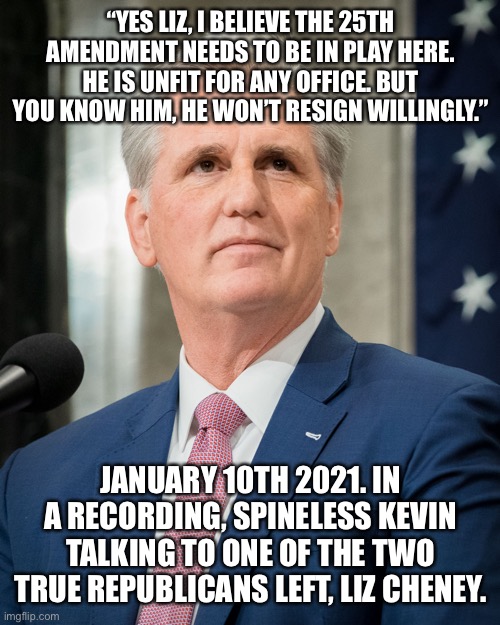 Kevin mcarthy | “YES LIZ, I BELIEVE THE 25TH AMENDMENT NEEDS TO BE IN PLAY HERE. HE IS UNFIT FOR ANY OFFICE. BUT YOU KNOW HIM, HE WON’T RESIGN WILLINGLY.”; JANUARY 10TH 2021. IN A RECORDING, SPINELESS KEVIN TALKING TO ONE OF THE TWO TRUE REPUBLICANS LEFT, LIZ CHENEY. | image tagged in kevin mcarthy | made w/ Imgflip meme maker