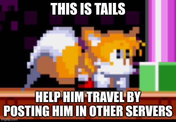 help him |  THIS IS TAILS; HELP HIM TRAVEL BY POSTING HIM IN OTHER SERVERS | image tagged in help him,tails,tails the fox | made w/ Imgflip meme maker