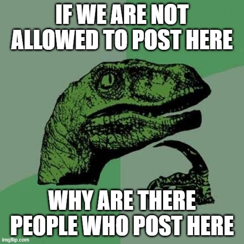 Bonj OUR | IF WE ARE NOT ALLOWED TO POST HERE; WHY ARE THERE PEOPLE WHO POST HERE | image tagged in memes,philosoraptor,stupid question,lol | made w/ Imgflip meme maker
