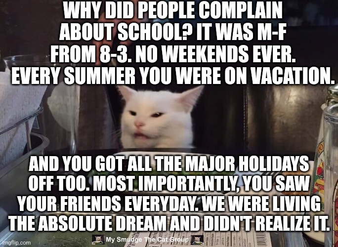 WHY DID PEOPLE COMPLAIN ABOUT SCHOOL? IT WAS M-F FROM 8-3. NO WEEKENDS EVER. EVERY SUMMER YOU WERE ON VACATION. AND YOU GOT ALL THE MAJOR HOLIDAYS OFF TOO. MOST IMPORTANTLY, YOU SAW YOUR FRIENDS EVERYDAY. WE WERE LIVING THE ABSOLUTE DREAM AND DIDN'T REALIZE IT. | image tagged in smudge the cat | made w/ Imgflip meme maker