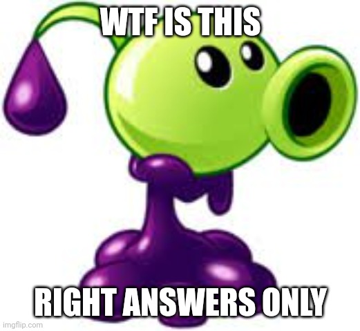 WTF IS THIS; RIGHT ANSWERS ONLY | made w/ Imgflip meme maker
