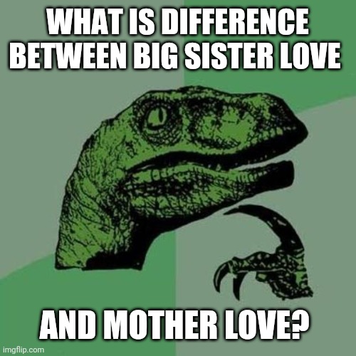 Anybody can help me | WHAT IS DIFFERENCE BETWEEN BIG SISTER LOVE; AND MOTHER LOVE? | image tagged in raptor,memes,funny | made w/ Imgflip meme maker