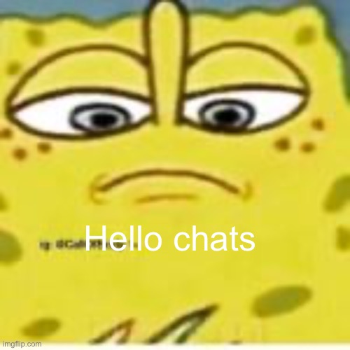 SpongeBob looking down on you | Hello chats | image tagged in spongebob looking down on you | made w/ Imgflip meme maker