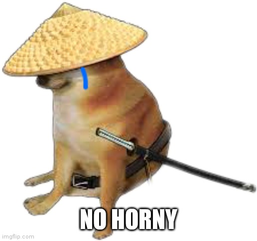 Silence wench | NO HORNY | image tagged in silence wench | made w/ Imgflip meme maker