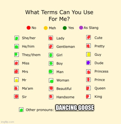 Pronouns Sheet | DANCING GOOSE | image tagged in pronouns sheet | made w/ Imgflip meme maker