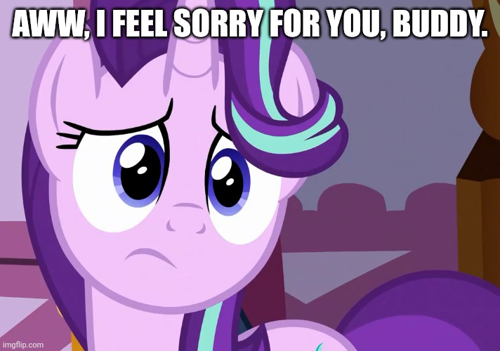 Sad Glimmer (MLP) | AWW, I FEEL SORRY FOR YOU, BUDDY. | image tagged in sad glimmer mlp | made w/ Imgflip meme maker