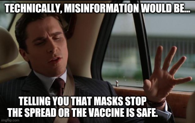 Technically. | TECHNICALLY, MISINFORMATION WOULD BE... TELLING YOU THAT MASKS STOP THE SPREAD OR THE VACCINE IS SAFE. | image tagged in technical | made w/ Imgflip meme maker