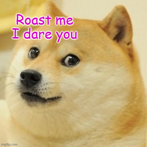 Roast me I dare you. | Roast me I dare you | image tagged in memes,doge | made w/ Imgflip meme maker