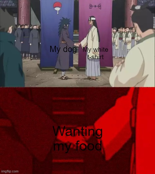 Naruto Handshake | My white t-shirt; My dog; Wanting my food | image tagged in naruto handshake meme template,dogs,food,oh wow are you actually reading these tags | made w/ Imgflip meme maker
