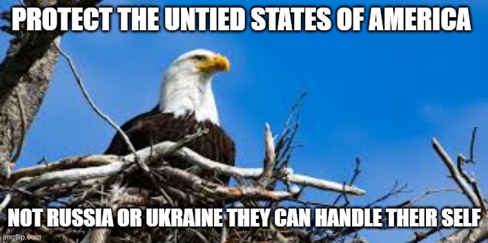 protect | PROTECT THE UNTIED STATES OF AMERICA; NOT RUSSIA OR UKRAINE THEY CAN HANDLE THEIR SELF | image tagged in america,repost | made w/ Imgflip meme maker