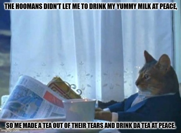 Cat newspaper | THE HOOMANS DIDN'T LET ME TO DRINK MY YUMMY MILK AT PEACE, SO ME MADE A TEA OUT OF THEIR TEARS AND DRINK DA TEA AT PEACE. | image tagged in memes,kitty,roaring | made w/ Imgflip meme maker