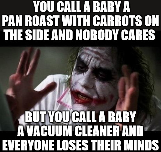 REALITY | YOU CALL A BABY A PAN ROAST WITH CARROTS ON THE SIDE AND NOBODY CARES; BUT YOU CALL A BABY A VACUUM CLEANER AND EVERYONE LOSES THEIR MINDS | image tagged in joker everyone loses their minds | made w/ Imgflip meme maker