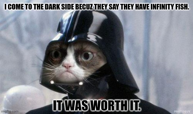 Grumpy Cat Star Wars | I COME TO THE DARK SIDE BECUZ THEY SAY THEY HAVE INFINITY FISH. IT WAS WORTH IT. | image tagged in memes,kitty,fishery | made w/ Imgflip meme maker