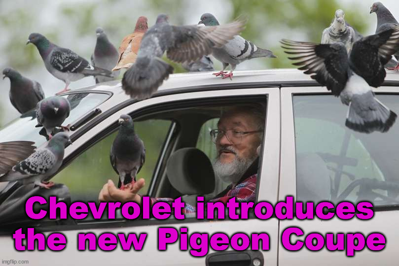 Chevrolet introduces the new Pigeon Coupe | image tagged in eye roll | made w/ Imgflip meme maker
