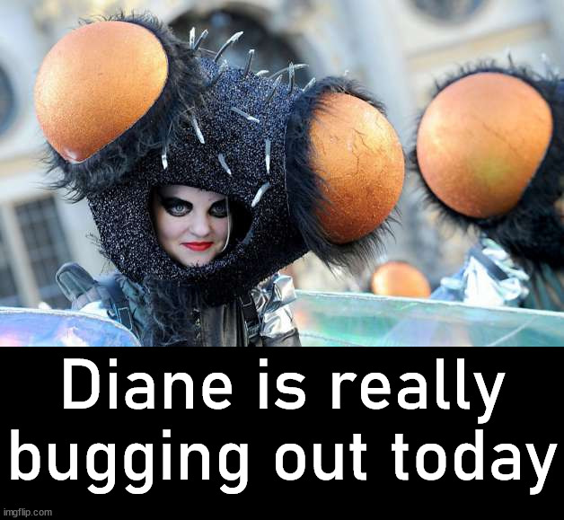 Diane is really bugging out today | image tagged in eye roll | made w/ Imgflip meme maker