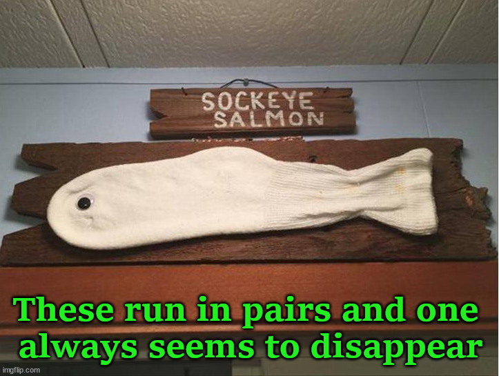These run in pairs and one 
always seems to disappear | image tagged in eye roll | made w/ Imgflip meme maker