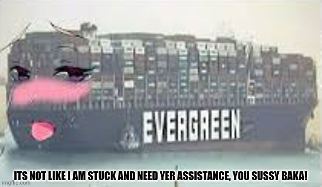 ITS NOT LIKE I AM STUCK AND NEED YER ASSISTANCE, YOU SUSSY BAKA! | image tagged in memes,look,ships | made w/ Imgflip meme maker