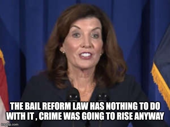 Kathy Hochul | THE BAIL REFORM LAW HAS NOTHING TO DO
 WITH IT , CRIME WAS GOING TO RISE ANYWAY | image tagged in kathy hochul | made w/ Imgflip meme maker