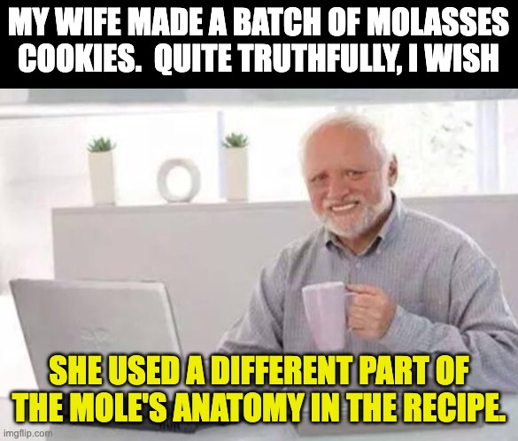 Molasses | MY WIFE MADE A BATCH OF MOLASSES COOKIES.  QUITE TRUTHFULLY, I WISH; SHE USED A DIFFERENT PART OF THE MOLE'S ANATOMY IN THE RECIPE. | image tagged in harold | made w/ Imgflip meme maker