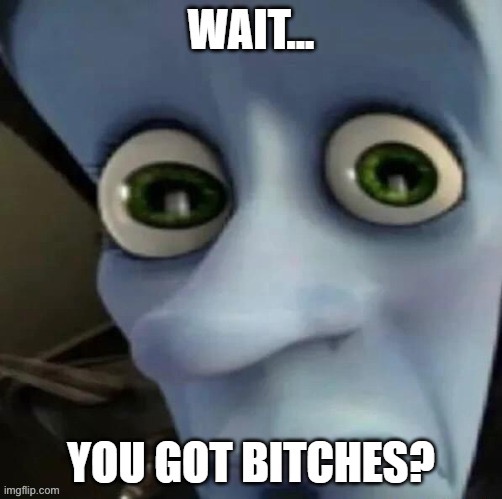 Wait you got bitches? | image tagged in wait you got bitches | made w/ Imgflip meme maker