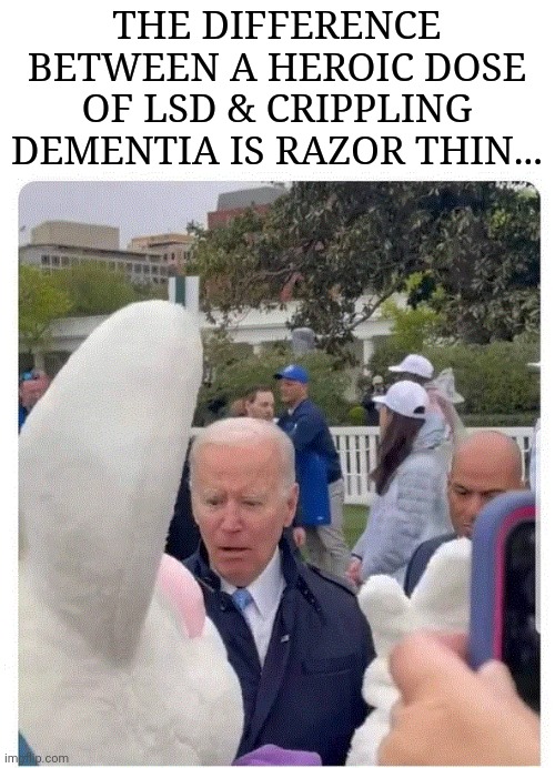 The Difference Between a Heroic Dose of LSD & Crippling Dementia is Razor Thin... | THE DIFFERENCE BETWEEN A HEROIC DOSE OF LSD & CRIPPLING DEMENTIA IS RAZOR THIN... | image tagged in creepy joe biden,dementia | made w/ Imgflip meme maker