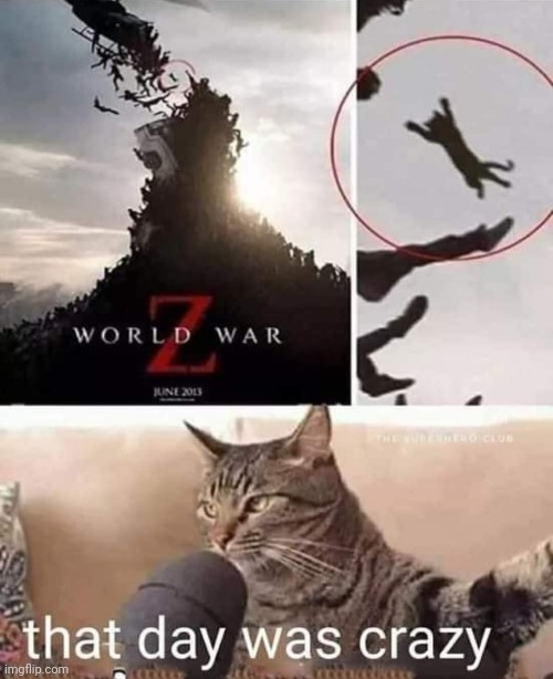 Cat Spotted in World War Z Poster | image tagged in world war z meme,cat,poster | made w/ Imgflip meme maker