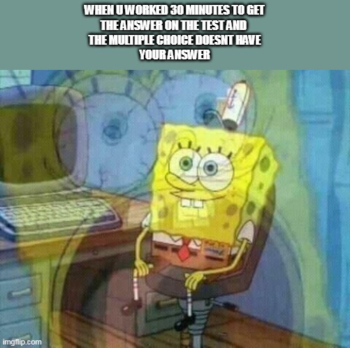 when you work to hard and its still wrong | WHEN U WORKED 30 MINUTES TO GET
THE ANSWER ON THE TEST AND 
THE MULTIPLE CHOICE DOESNT HAVE
YOUR ANSWER | image tagged in spongebob panic inside,test,funny,memes,cats,ukrainian lives matter | made w/ Imgflip meme maker