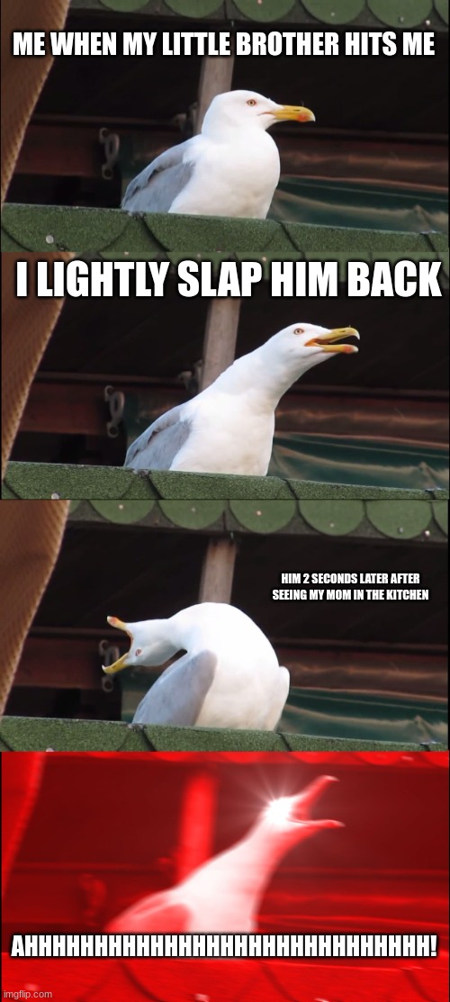 Inhaling Seagull Meme | ME WHEN MY LITTLE BROTHER HITS ME; I LIGHTLY SLAP HIM BACK; HIM 2 SECONDS LATER AFTER SEEING MY MOM IN THE KITCHEN; AHHHHHHHHHHHHHHHHHHHHHHHHHHHHH! | image tagged in memes,inhaling seagull | made w/ Imgflip meme maker
